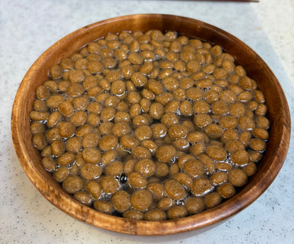 初回限定 ナノワントライアル 20g