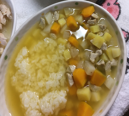 ナノワン・リセット 100g