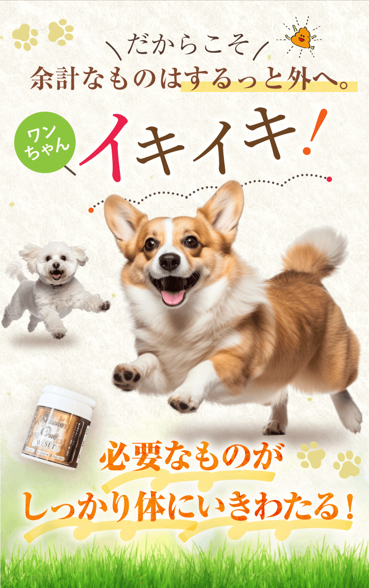 余計なものはスルッと外へ